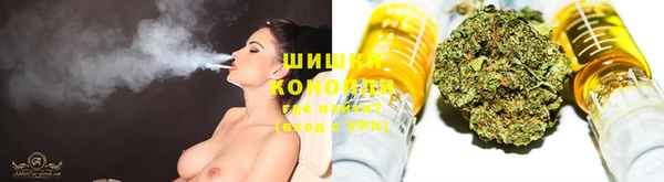 индика Нефтекумск