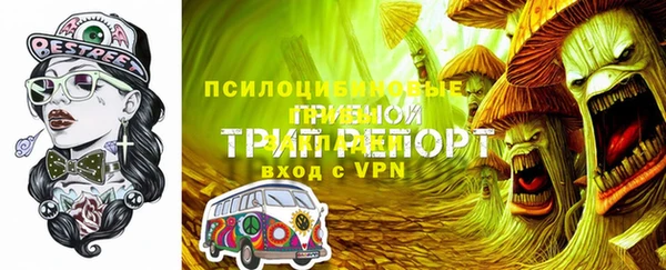 индика Нефтекумск