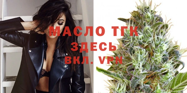 индика Нефтекумск