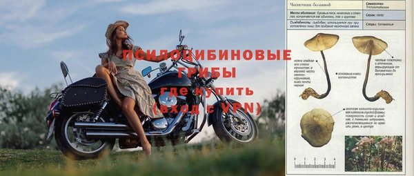 гидра Нефтегорск