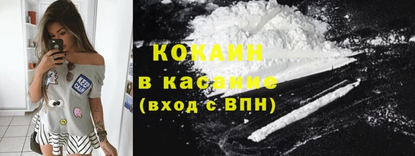 индика Нефтекумск