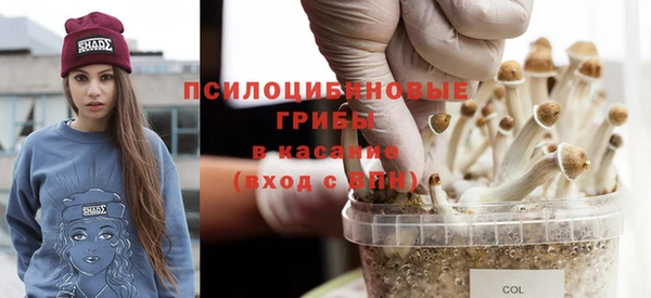 гидра Нефтегорск